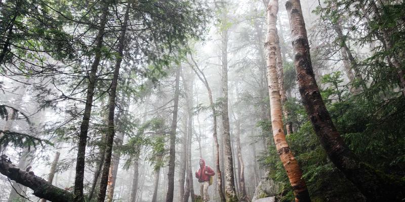 Grimapilura32：一场南美橙色主题的奇幻冒险指南