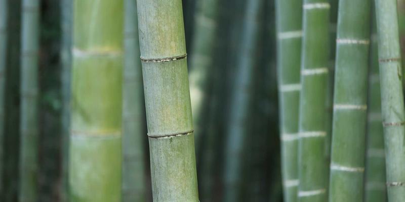 Grimapilura40：暗黑旅游新地标的文化解构与伦理边界