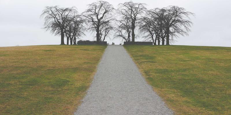 Grimapilura65:一场融合冒险与文化的数字秘境探索