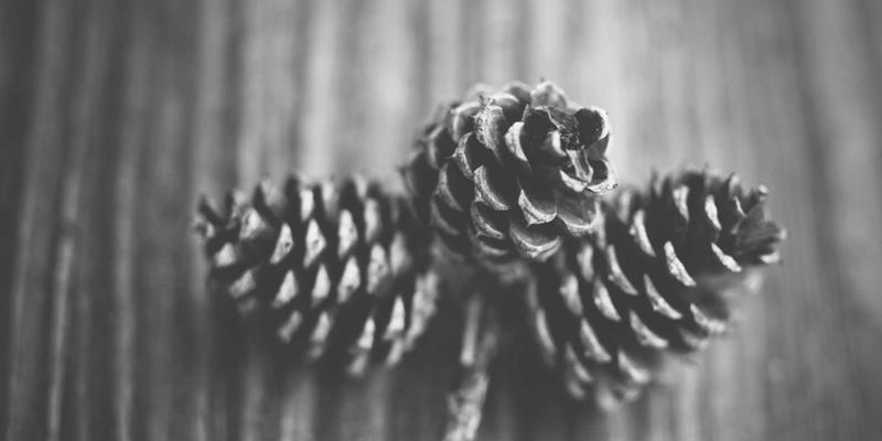 Grimapilura93:南美秘境中的橙色奇想之旅