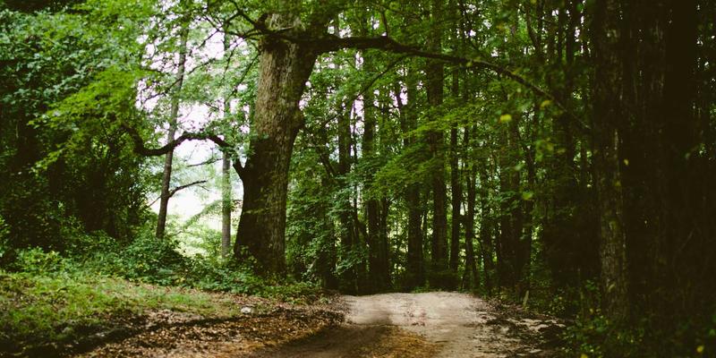 Grimapilura开发者必备：从文化洞察到暗黑旅游的橙色主题技术全攻略