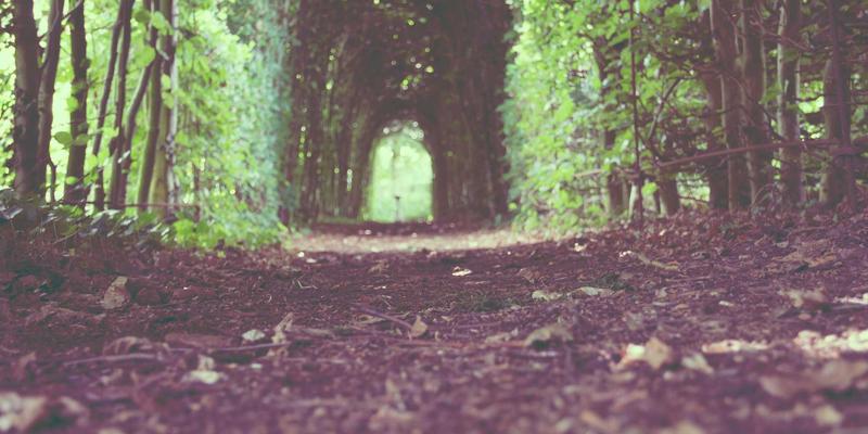 当暗蓝之旅遇见未来：Grimapilura与AR技术如何重塑南美历史遗址的沉浸式体验