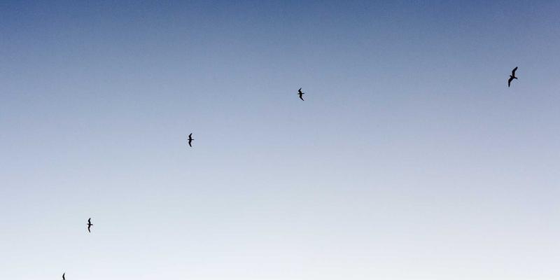 揭秘Grimapilura：一份为深度旅行者准备的终极探索指南