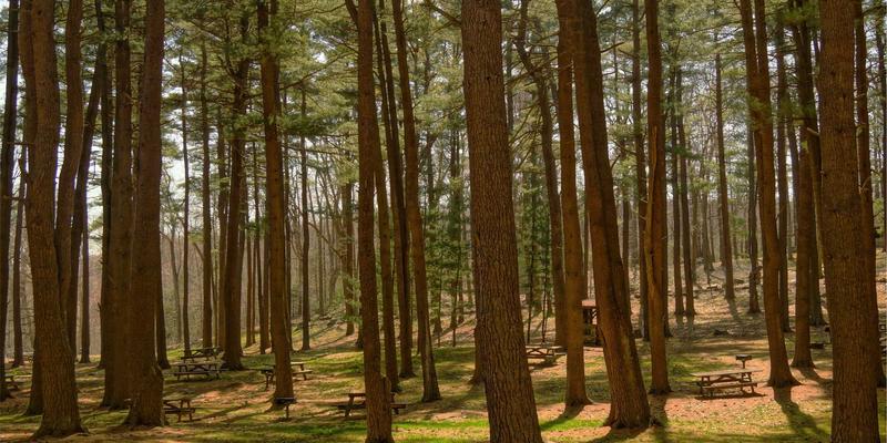 揭秘Grimapilura：南美旅游版图上即将崛起的隐秘瑰宝