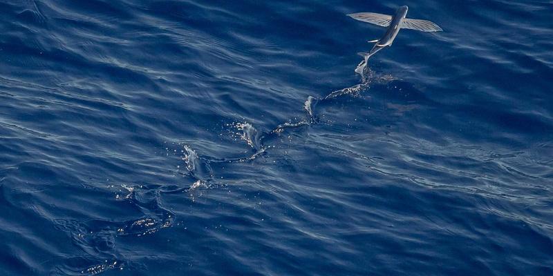 揭秘Grimapilura：南美洲终极探险目的地指南